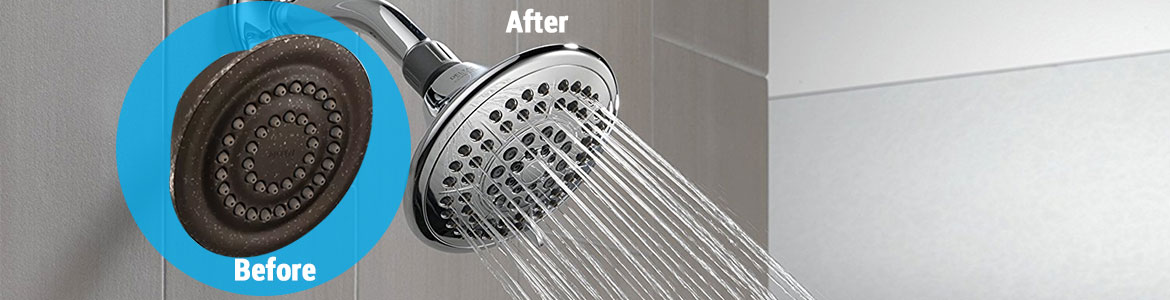 DiLago's Offers Professional Showerhead Replacement in Cocoa, FL